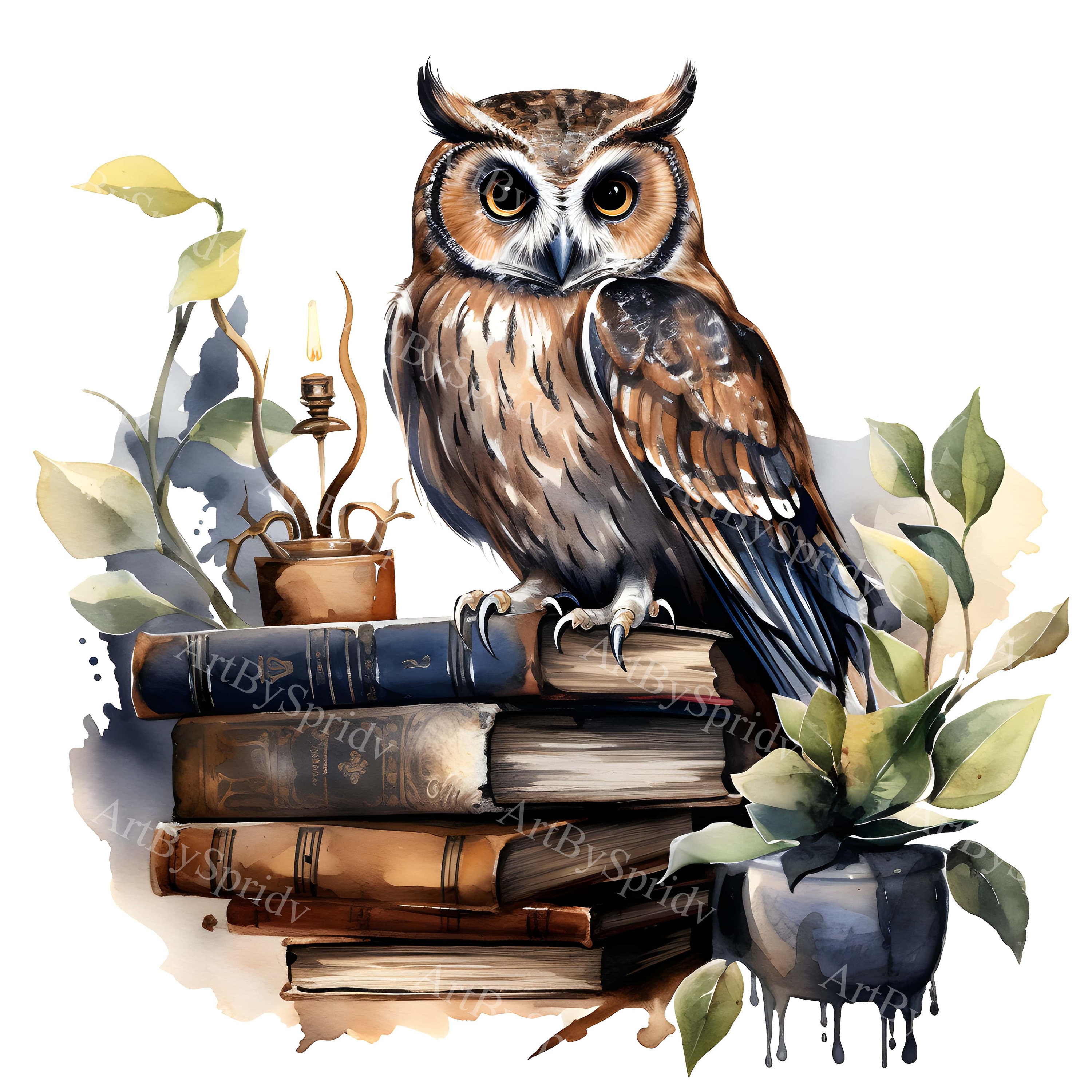 Vintage Owl on Antique Books PNG Clipart Illustration,Retro Bird Art,Watercolor Owl,Woodland Decor,D