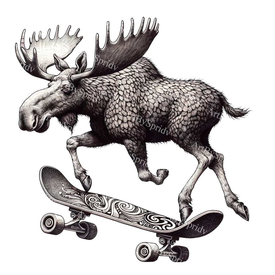 Pack De 2 Planches De Skateboard Moose Old School - 10x30 & 10x33 Pouces, Noir