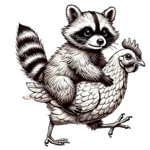 鶏に乗るアライグマの透明な PNG、気まぐれな農場の動物のクリップアート、昇華とステッカー用の手描きの田舎風ユーモアイラスト