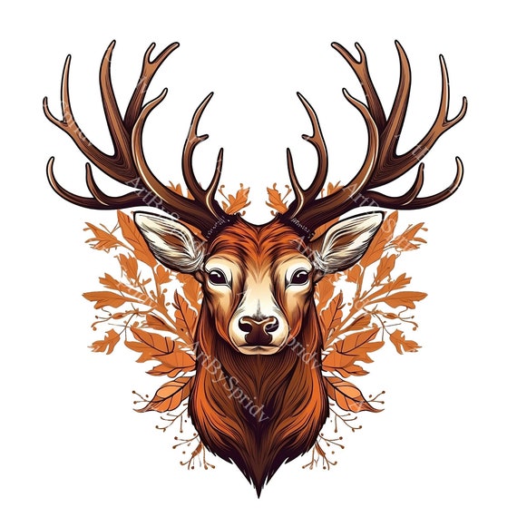 Hirsch Clipart Die Wundersame Erkundung Eines Neugierigen Rehkitzes