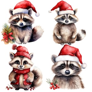 Christmas Raccoon Clipart Bundle, 4 Trnasparent PNG Clip Art for Festive Holiday, DIY Crafts, Cards,  Digital Scrapbooking, DTG T-Shirt, Mug