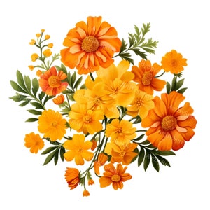 Сircular Arrangement Marigold Blooms & Leaves Transparent PNG Clipart, Printable T-Shirt,Mug,Tumbler Sublimation,Commercial Design Clip Art