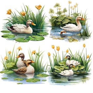 Serene Duck Pond PNG Clipart Bundle | Water Lily and Duck Transparent Set | Nature-Inspired Digital Clip Art for DIY Crafts, Tee Sublimation