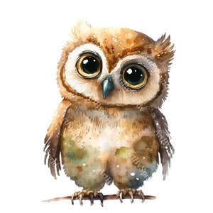 Clipart de búho bebé en acuarela / Ilustración de pájaro PNG transparente para manualidades digitales, álbumes de recortes, pegatinas, invitaciones, DTG, camisetas, tazas