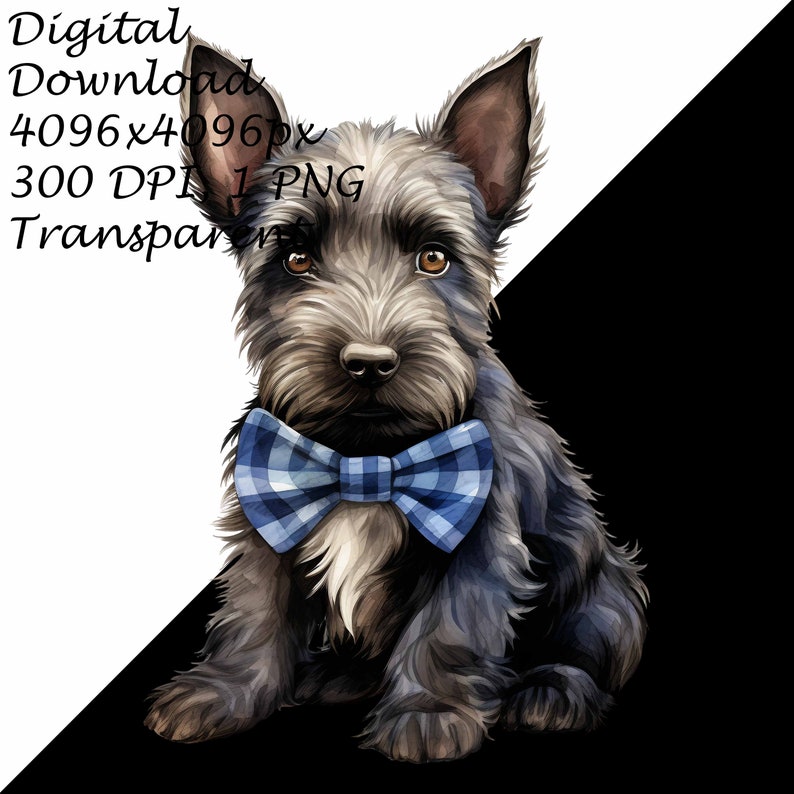 A Scottish Terrier Puppy Dog With Plaid Bow-Transparent 4 PNG Clipart-Printable T-Shirt, Mug, Tumbler Sublimation Clip Art, Commercial Use