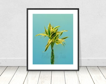 Impresión de arte de pared de bambú, fotografía tropical de bambú, decoración azul y verde, decoración de pared azul, decoración tropical, decoración botánica moderna,