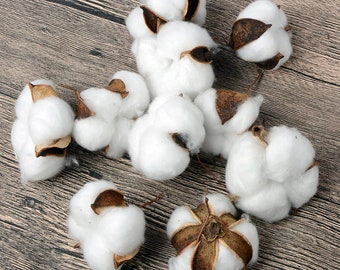 Stranded cotton bolls / 10 pcs