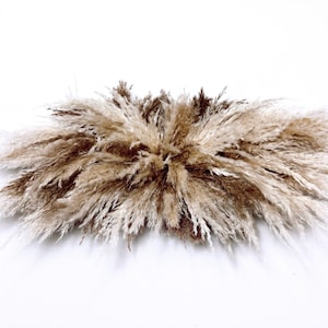 Pampas Dried flower Arrangement beige, neutral wedding swag, nursery decor, event backdrop, boho wedding arch arrangement