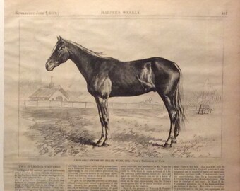 Two Splendid Trotters, June 7, 1879, Horse Trotters, Harpers Weekly, 11x16in., Excellent Condition
