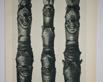 Art Forms in Nature by Karl Blossfeldt, Plate No. 13, 1929