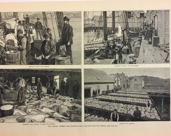 The Halibut Fishery-Photos taken from US Fish Commission, October 6, 1888, Harpers Weekly, 11x16inches, Excellent Condition!