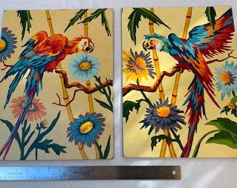Wonderful Pair of Parrot Paint by Numbers