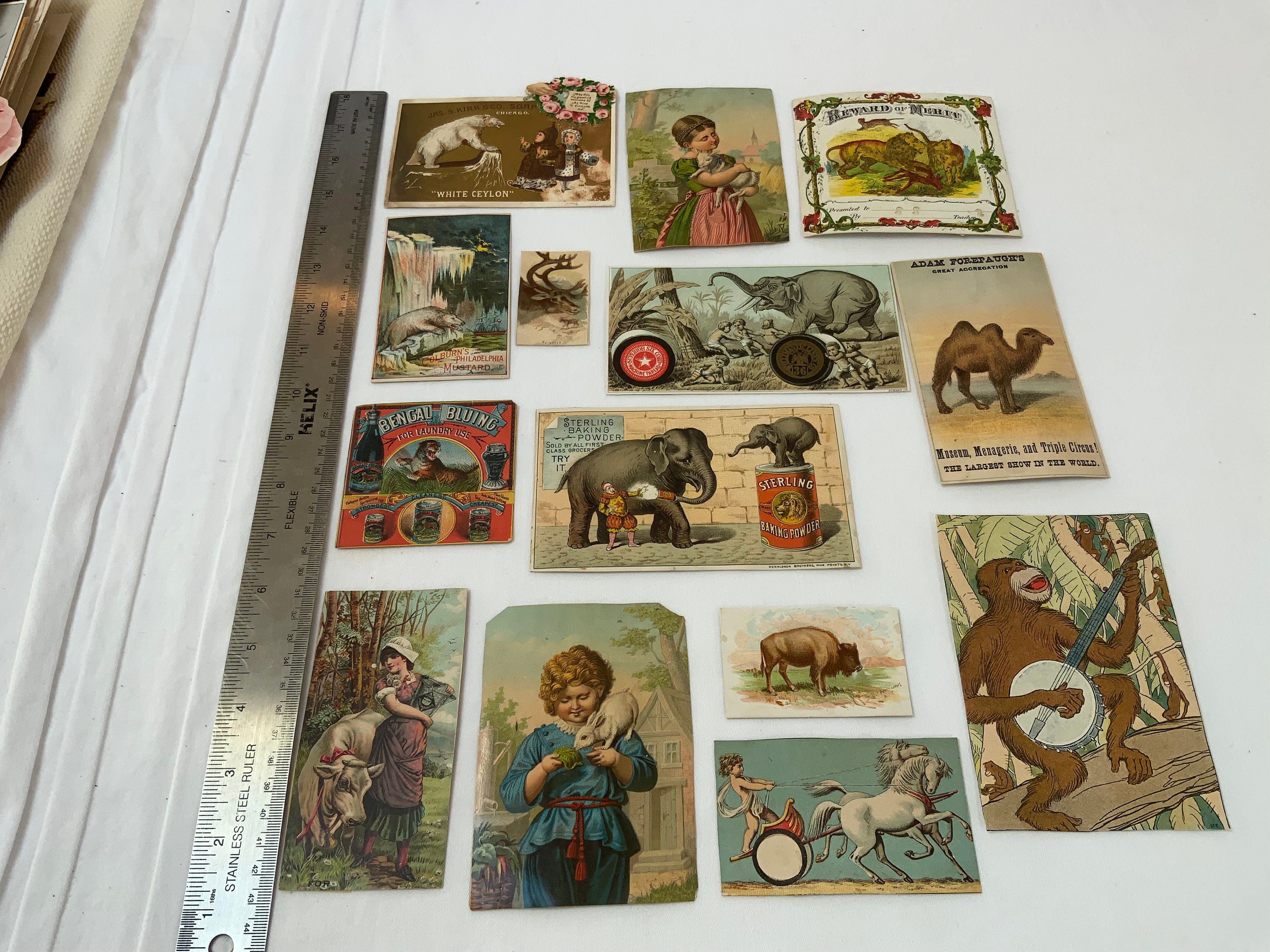 Antique Victorian Paper Ephemera and Trading Cards with Animals for Crafts