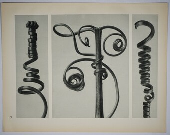 Art Forms in Nature by Karl Blossfeldt, Plate No. 53, 1929