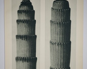 Art Forms In Nature by Karl Blossfeldt, Plate No. 3, 1929