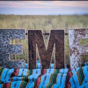 Cowhide Wooden Letter - Farmhouse Wall Decor