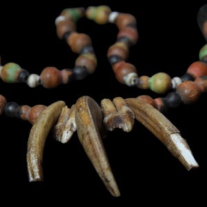 Dayak Tribal Necklace from Borneo with old Dutch Coins, Wild Boar Tusks & Traditional Beads. #80