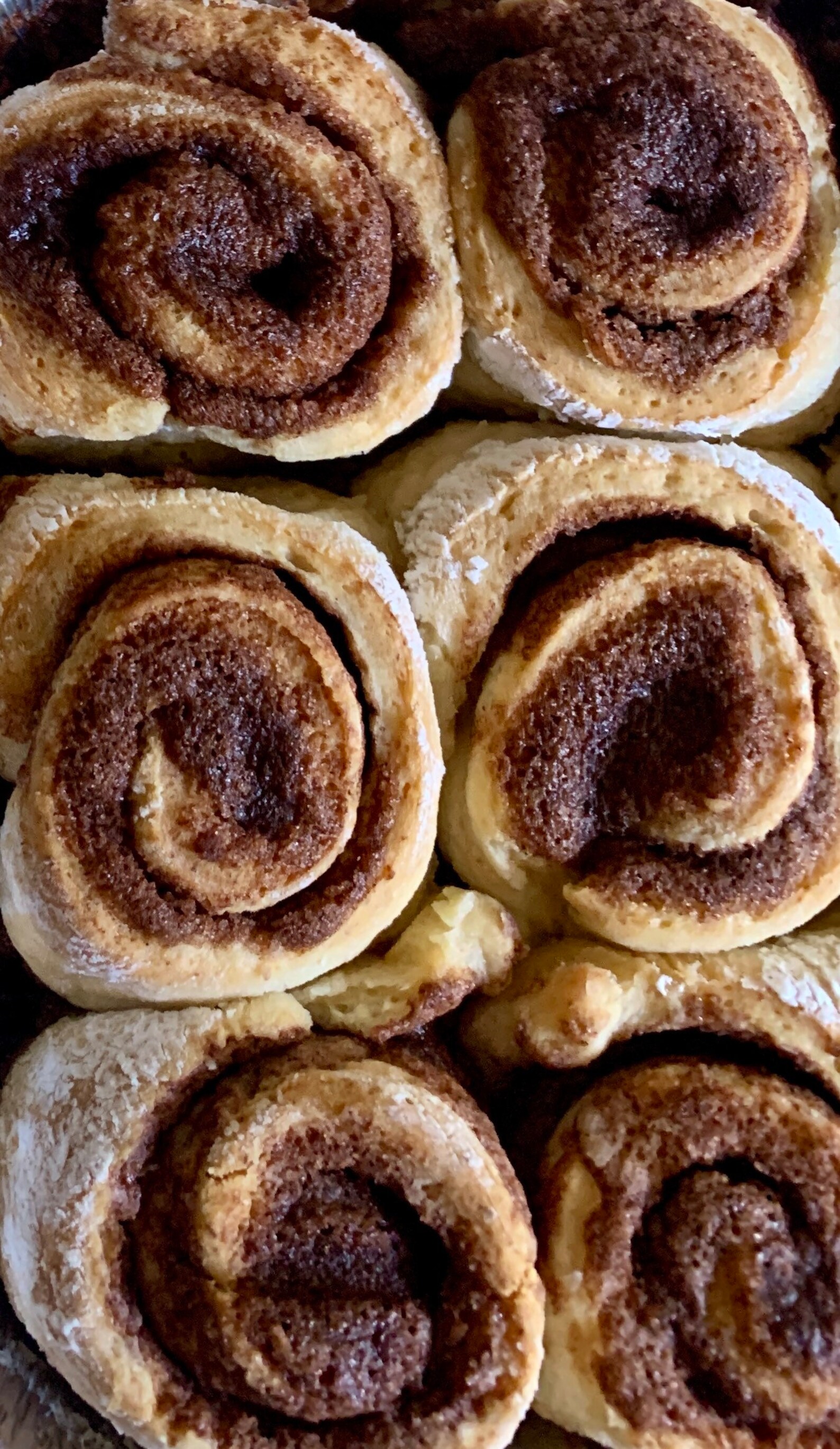 GLUTEN FREE Cinnabon Cinnamon Rolls Shipping Included Etsy