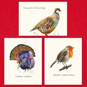 Cartes de Noel à l'aquarelle - Pack de 12