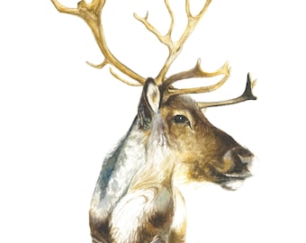 Reindeer Watercolour Print