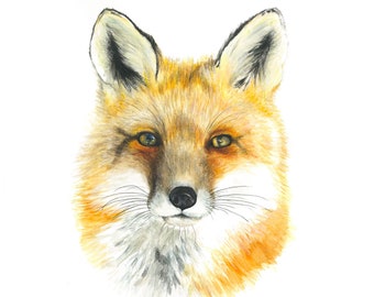Fox Watercolour Painting