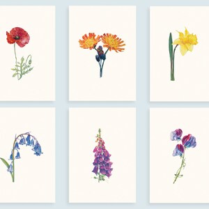 Bloemenwens kaarten - Pack of Six