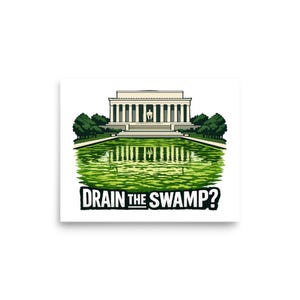 Washington DC Lincoln Memorial Reflecting Pool Algae Political Poster