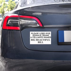 May include: A white bumper sticker with black text is affixed to the rear of a dark gray car. The text reads: "PLEASE LORD GIVE DONALD TRUMP A CELLMATE NAMED BIG BEAUTIFUL BILL."