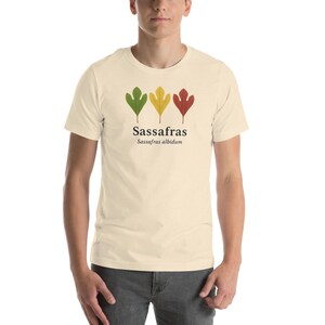 May include: Cream-colored t-shirt featuring a botanical design. The design includes three stylized sassafras leaves in green, yellow, and red, above the word "Sassafras" and the scientific name "Sassafras albidum" in black text. The shirt is short-sleeved.