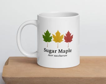 Sugar Maple Art – Acer saccharum Botanical White glossy mug