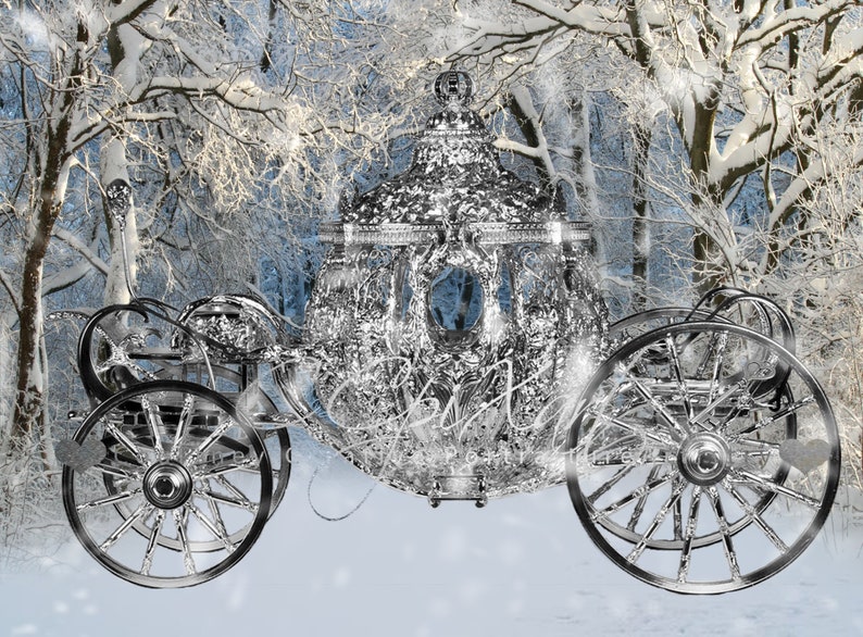 4 Winter Cinderella Royal Wonderland Digital Instant Download Backdrop/Background image 3