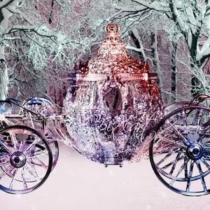 4 Winter Cinderella Royal Wonderland Digital Instant Download Backdrop/Background image 4