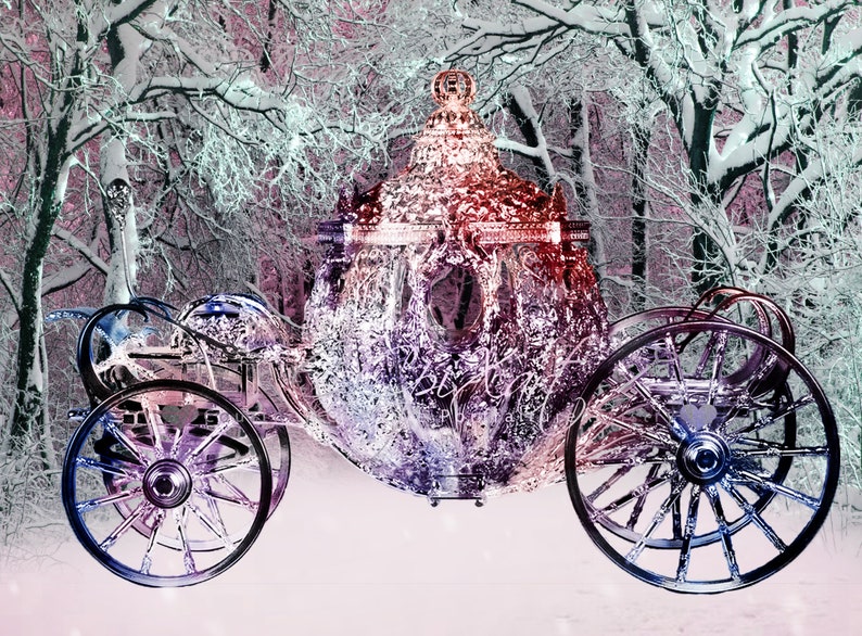 4 Winter Cinderella Royal Wonderland Digital Instant Download Backdrop/Background image 4