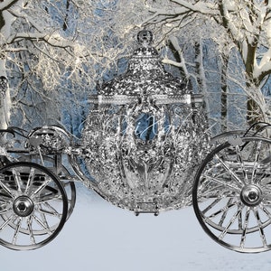4 Winter Cinderella Royal Wonderland Digital Instant Download Backdrop/Background image 1