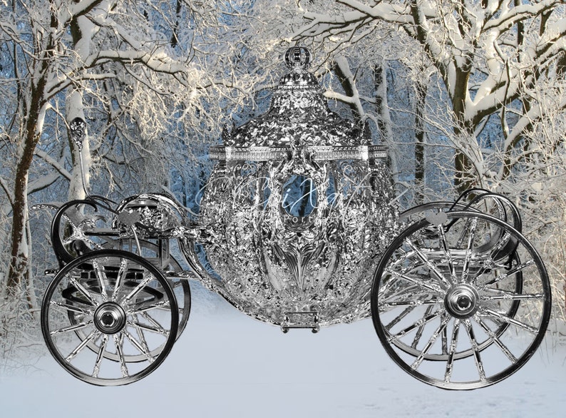 4 Winter Cinderella Royal Wonderland Digital Instant Download Backdrop/Background image 1