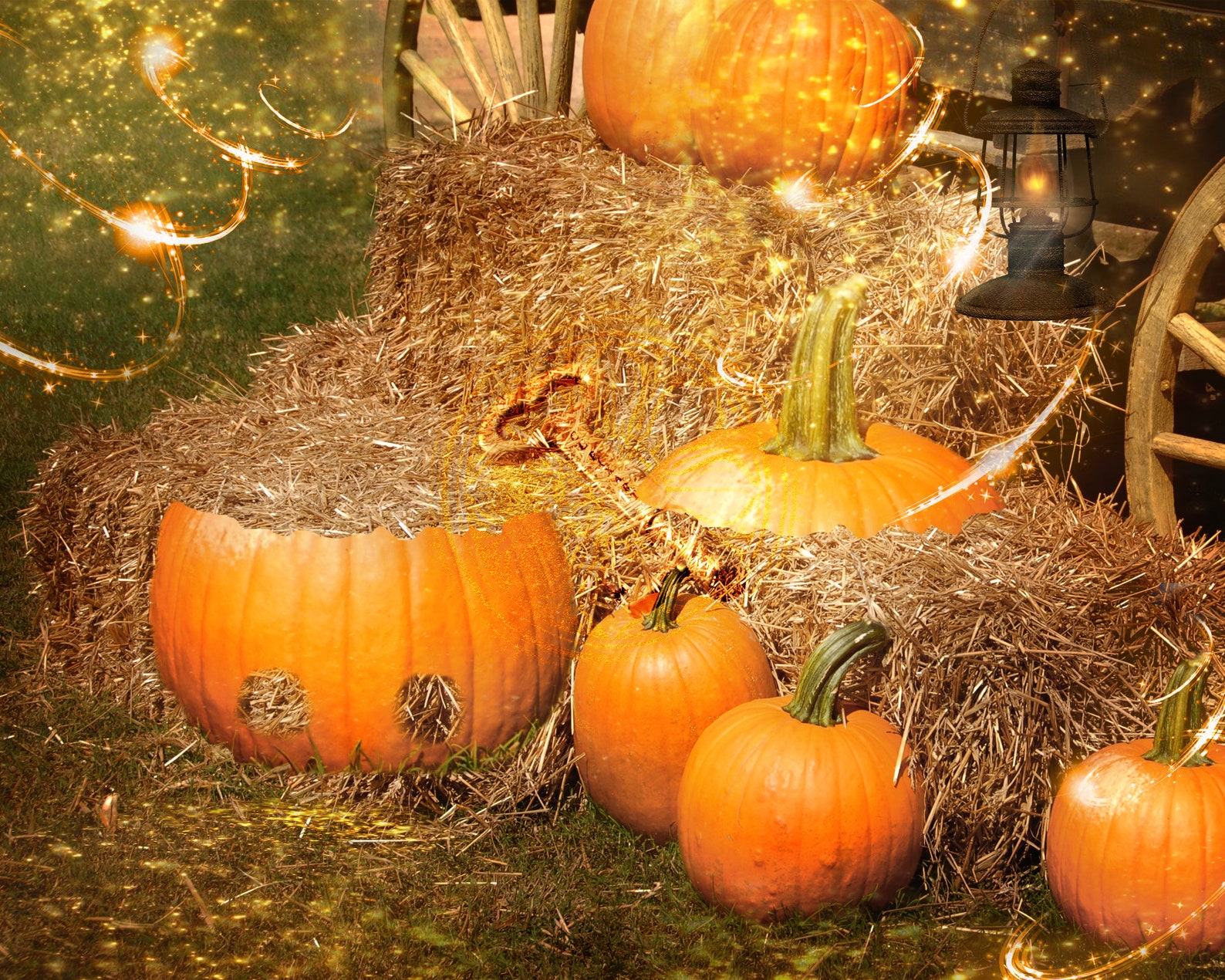 Fall Digital Backdrop Free Pumpkin Overlay Included Etsy