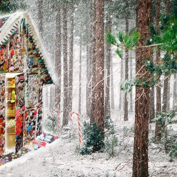 Hansel & Gretel Backdrop | Gingerbread house in forest | Professional Hi-Resolution