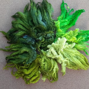 Shades of Green Wool Curls,  Blue Face Leicester Wool Curls , Angus Wools , Needle felt wool Curls by Uan Wool, gift for crafters,