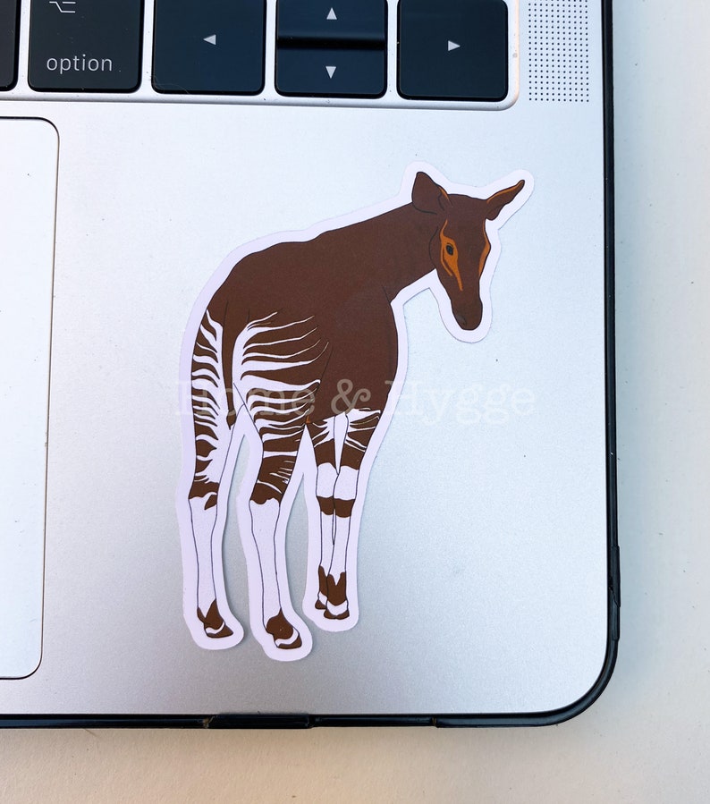 Okapi Sticker: Weatherproof Animal Decal, Zookeeper Gift - Etsy