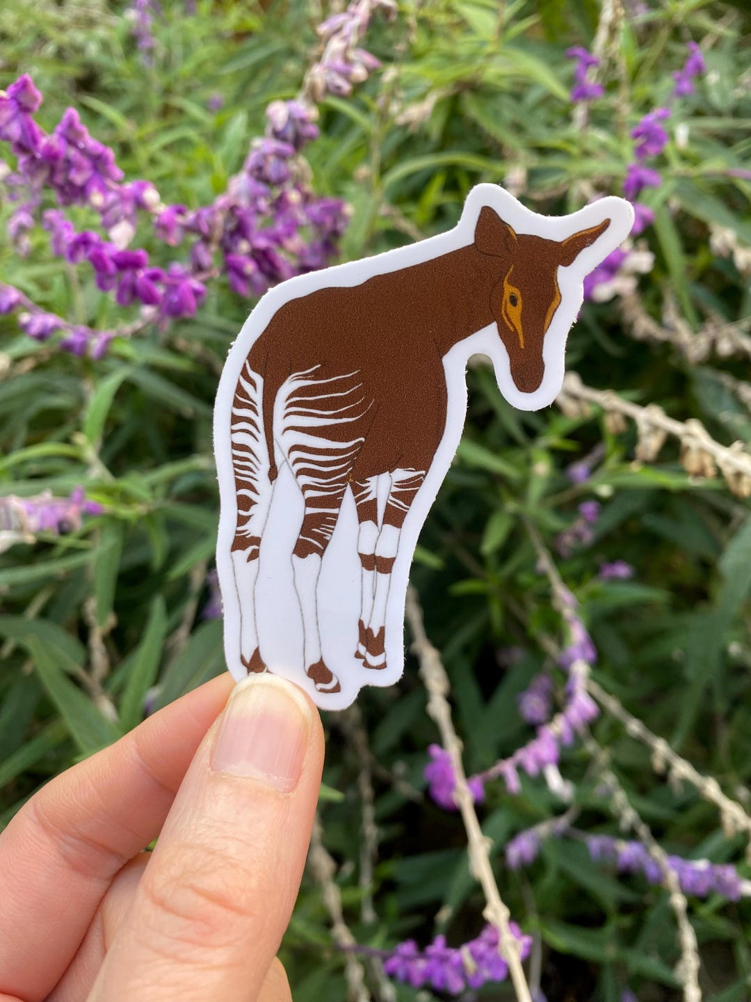 Okapi Sticker: Weatherproof Animal Decal, Zookeeper Gift - Etsy