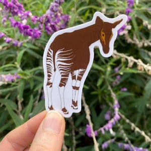 Okapi Sticker, Animal Sticker, Okapi Print, Laptop Sticker, Water Resistant Sticker, Water Bottle Sticker, Stickers, Gift under 10, Decal