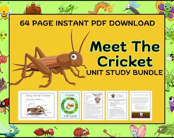 Cricket Unit Study: Homeschool STEM Activities, Nature Study (PDF Download)
