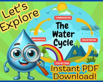 Water Cycle Unit Study: Elementary Science, STEM Activities (PDF Download)
