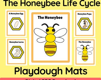 Honeybee Life Cycle Playdough Mats – Hands On Science for Elementary Kids