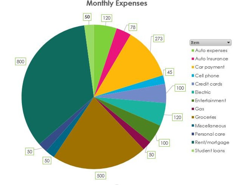 May include: A pie chart showing monthly expenses, with the largest slice representing rent/mortgage at &pound;800. Other expenses include car payment at &pound;273, groceries at &pound;500, and student loans at &pound;120.