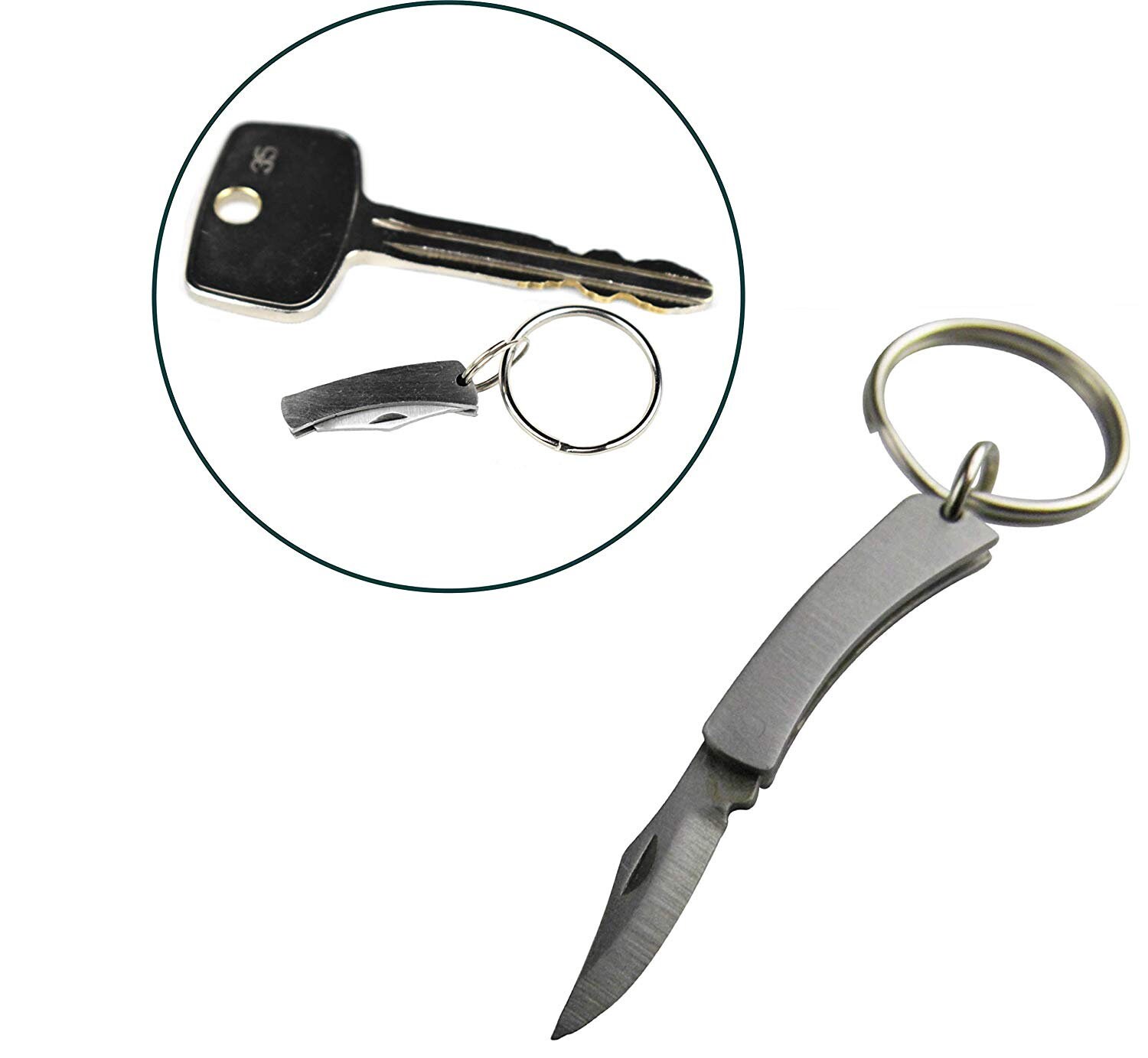 Munkees Micro Folding Knife Keychain, World's Smallest Knife, Mini Portable  Cutters Keyring, Tiny Pocket Tactical Blade for Outdoors 