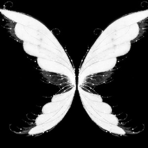 Fairy Wing Overlays PNG, Magical Fair Wing Overlays, Butterfly Wing ...