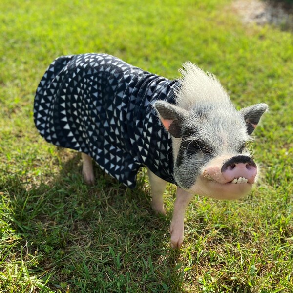 Pot Belly Pig Clothes Etsy