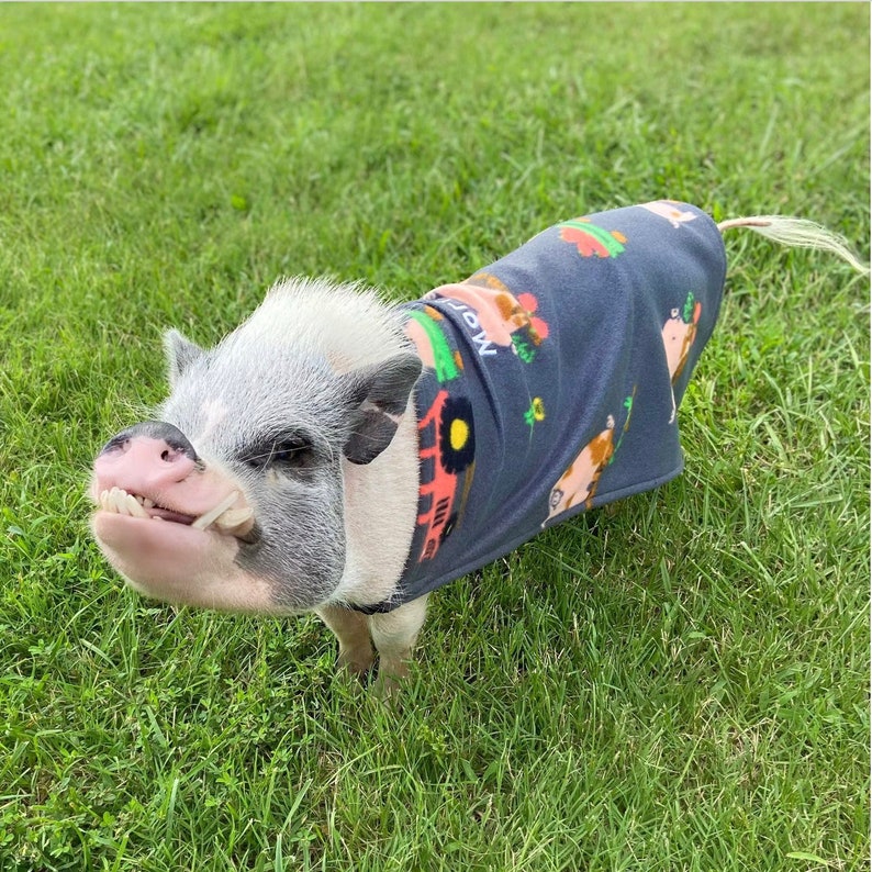 Easy-on Elastic Fleece Cloak with Leash Hole, Mini Pig Clothes, Pet Sweater, Clothing for Pot Belly Pigs Farm Pigs on Gray