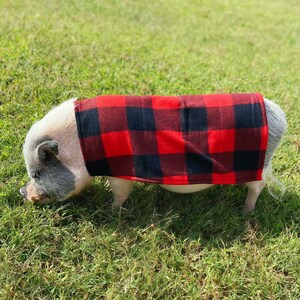 Easy-on Elastic Fleece Cloak with Leash Hole, Mini Pig Clothes, Pet Sweater, Clothing for Pot Belly Pigs Red Checker Plaid